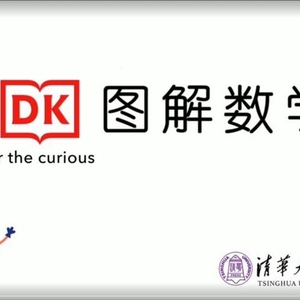 DK图解数学幼小衔接1-6年级动画课程(完整版184集4.7G网盘下载)和全年级思维训练题,清华大学出版社含1-6年级知识点对应网盘下载