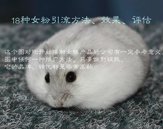 18种女粉引流方法、效果、评估 18种女粉引流方法、效果、评估
